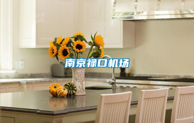 南京祿口機(jī)場(chǎng)