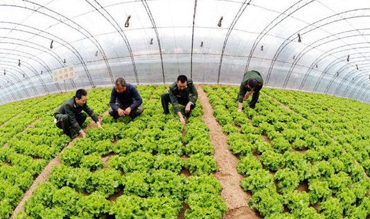 1516929771322922.jpg timg.jpg