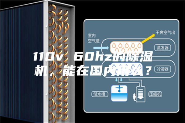 110v 60hz的除濕機(jī)，能在國內(nèi)用么？