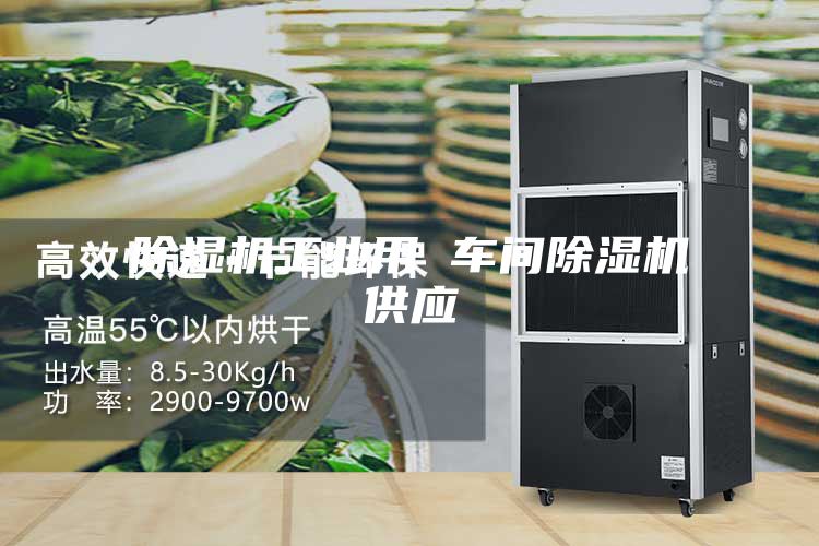 除濕機工業(yè)用 車間除濕機供應(yīng)