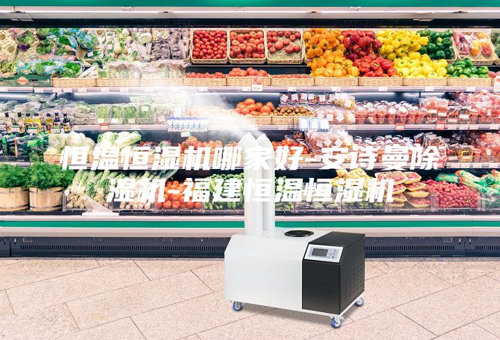 恒溫恒濕機(jī)哪家好-安詩(shī)曼除濕機(jī)-福建恒溫恒濕機(jī)