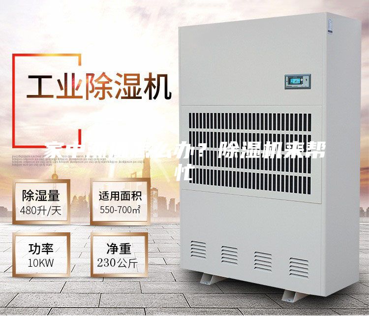 家中潮濕怎么辦？除濕機來幫忙