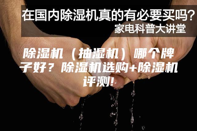 除濕機（抽濕機）哪個牌子好？除濕機選購+除濕機評測!