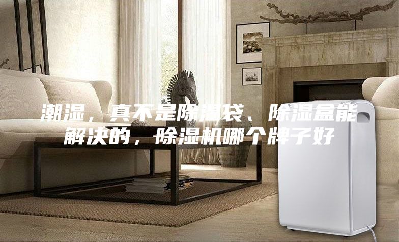 潮濕，真不是除濕袋、除濕盒能解決的，除濕機哪個牌子好
