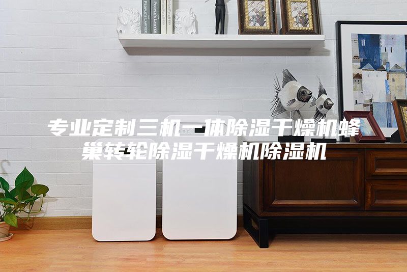 專業(yè)定制三機(jī)一體除濕干燥機(jī)蜂巢轉(zhuǎn)輪除濕干燥機(jī)除濕機(jī)