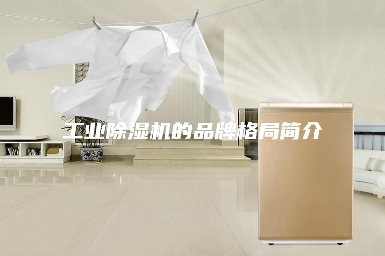 工業(yè)除濕機(jī)的品牌格局簡(jiǎn)介