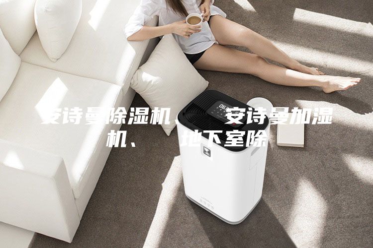 安詩曼除濕機(jī)、  安詩曼加濕機(jī)、  地下室除