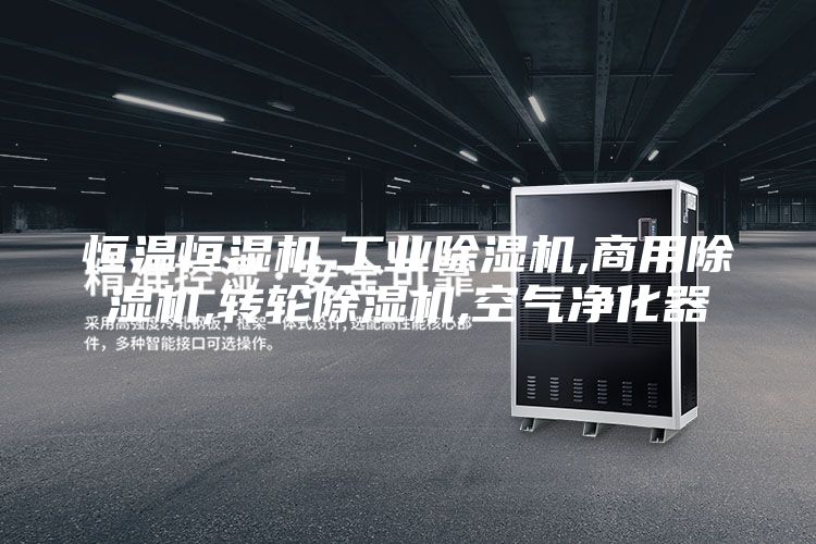 恒溫恒濕機(jī),工業(yè)除濕機(jī),商用除濕機(jī),轉(zhuǎn)輪除濕機(jī),空氣凈化器