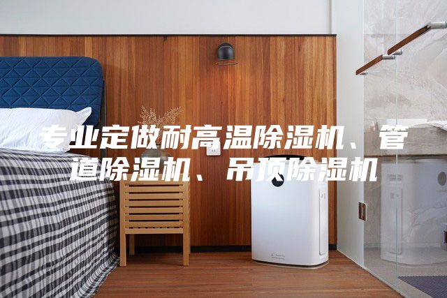 專業(yè)定做耐高溫除濕機、管道除濕機、吊頂除濕機