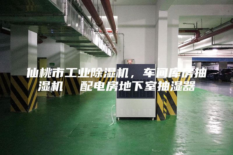 仙桃市工業(yè)除濕機，車間庫房抽濕機  配電房地下室抽濕器