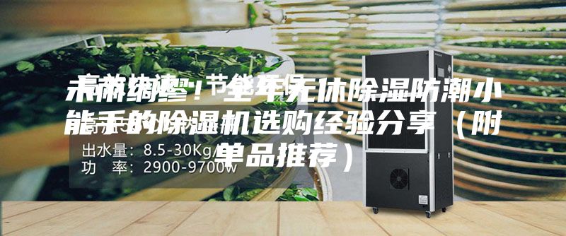 未雨綢繆！全年無(wú)休除濕防潮小能手的除濕機(jī)選購(gòu)經(jīng)驗(yàn)分享（附單品推薦）