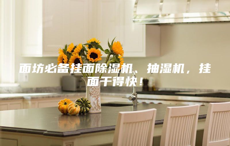 面坊必備掛面除濕機(jī)、抽濕機(jī)，掛面干得快！