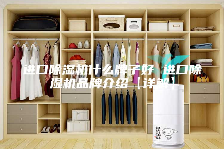 進(jìn)口除濕機什么牌子好 進(jìn)口除濕機品牌介紹【詳解】