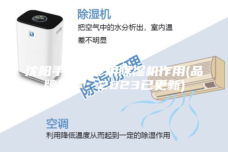 沈陽(yáng)手套箱專用除濕機(jī)作用(品牌推薦：2023已更新)