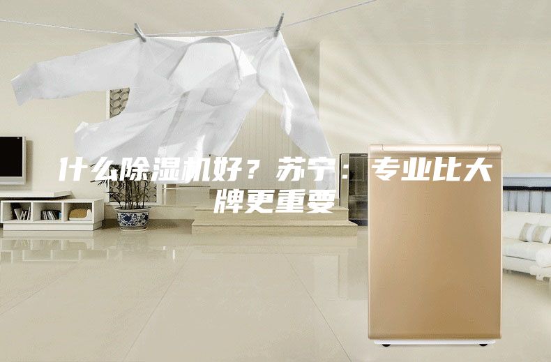 什么除濕機(jī)好？蘇寧：專業(yè)比大牌更重要
