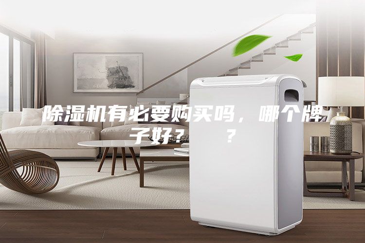 除濕機(jī)有必要購(gòu)買嗎，哪個(gè)牌子好？  ？