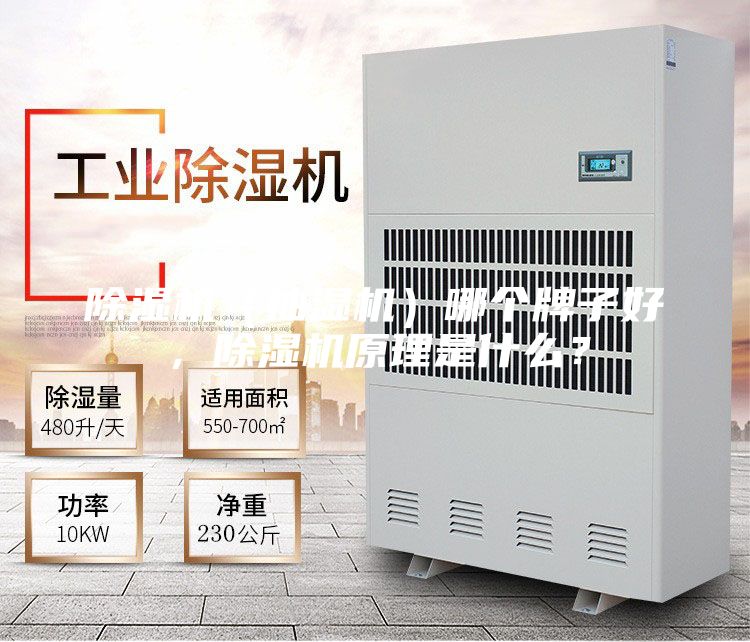 除濕機(jī)（抽濕機(jī)）哪個(gè)牌子好，除濕機(jī)原理是什么？