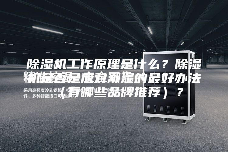 除濕機(jī)工作原理是什么？除濕機(jī)是否是應(yīng)對(duì)潮濕的最好辦法（有哪些品牌推薦）？