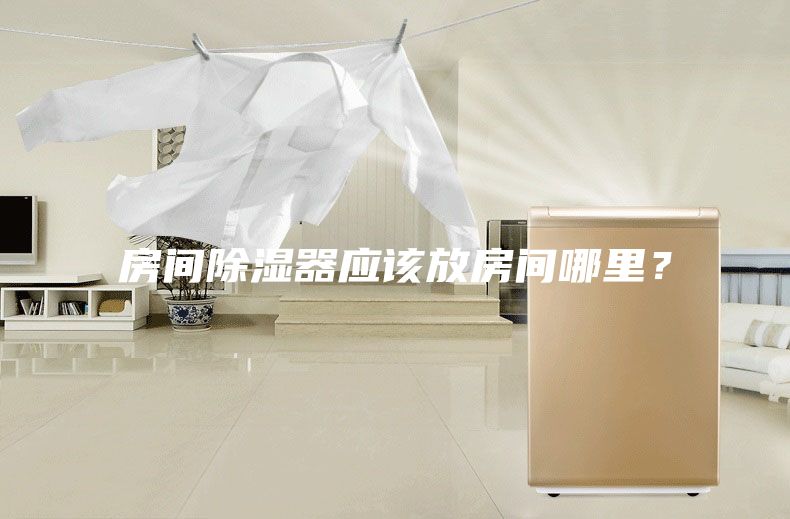 房間除濕器應該放房間哪里？
