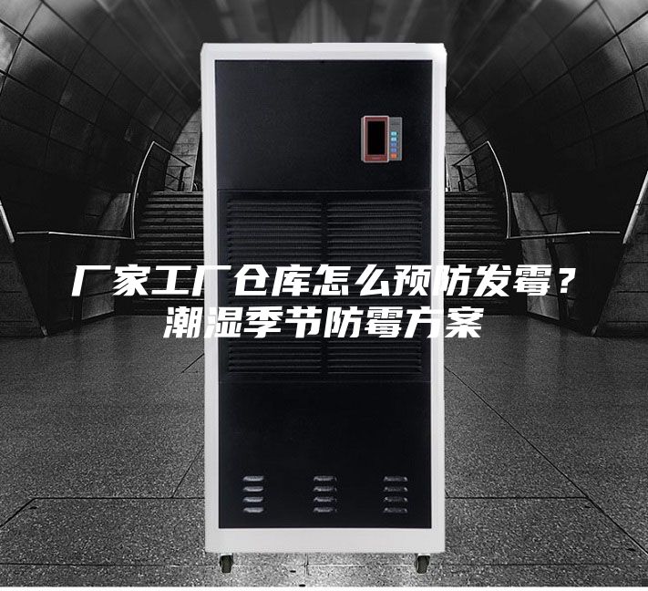 廠家工廠倉庫怎么預防發霉？潮濕季節防霉方案