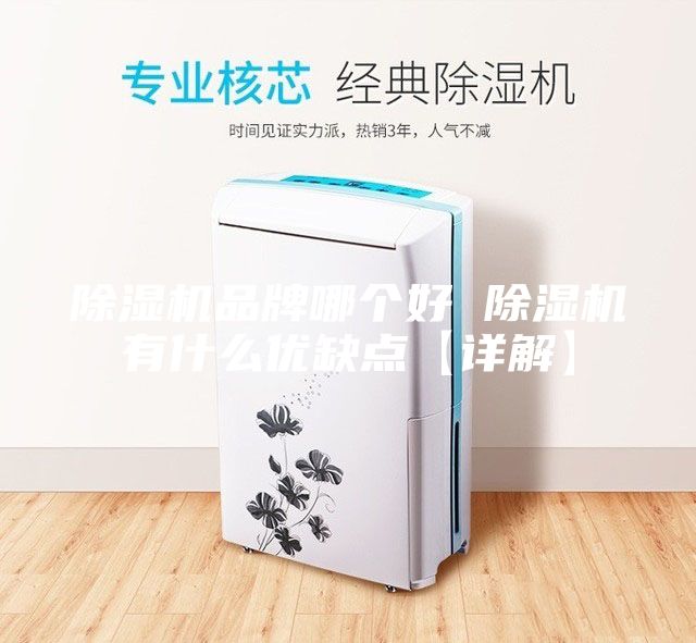 除濕機(jī)品牌哪個好 除濕機(jī)有什么優(yōu)缺點【詳解】