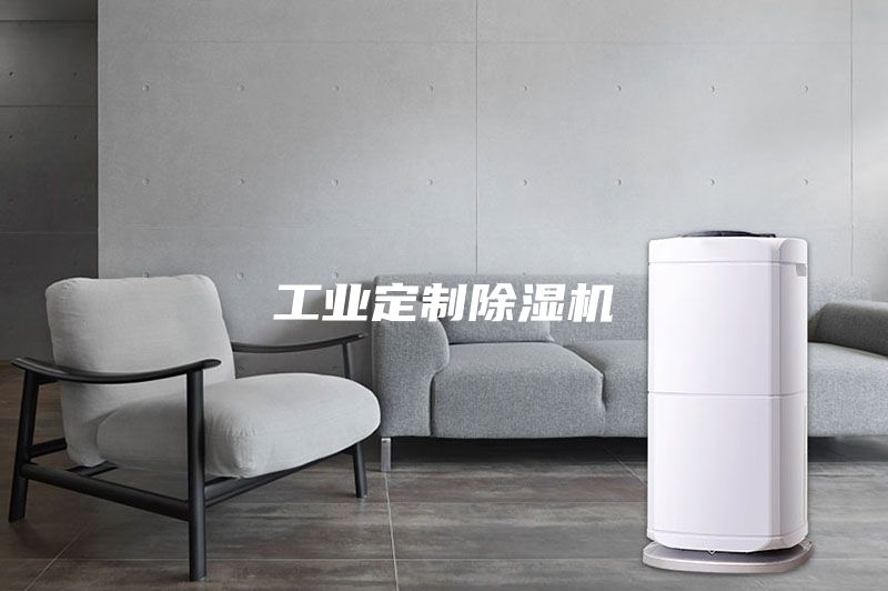 工業(yè)定制除濕機(jī)