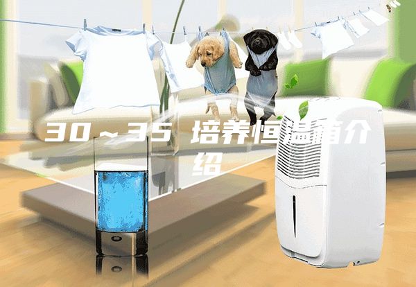 30～35℃培養(yǎng)恒溫箱介紹