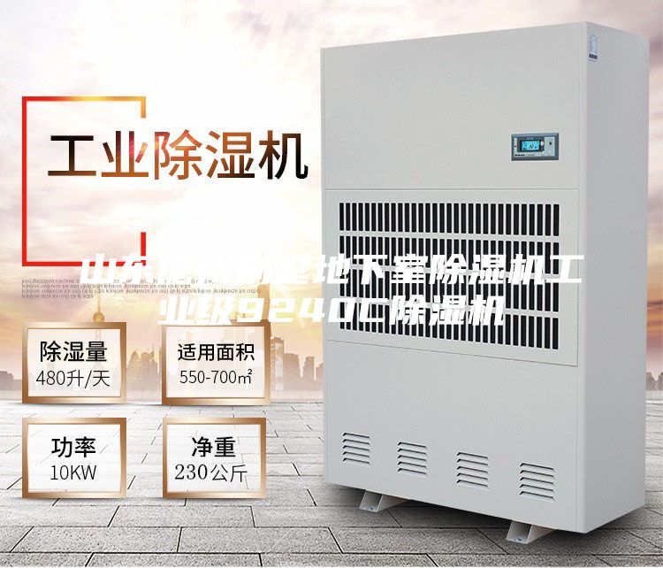 山東德州別墅地下室除濕機(jī)工業(yè)級9240C除濕機(jī)