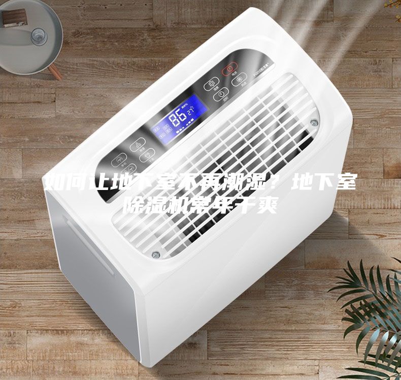 如何讓地下室不再潮濕？地下室除濕機常年干爽