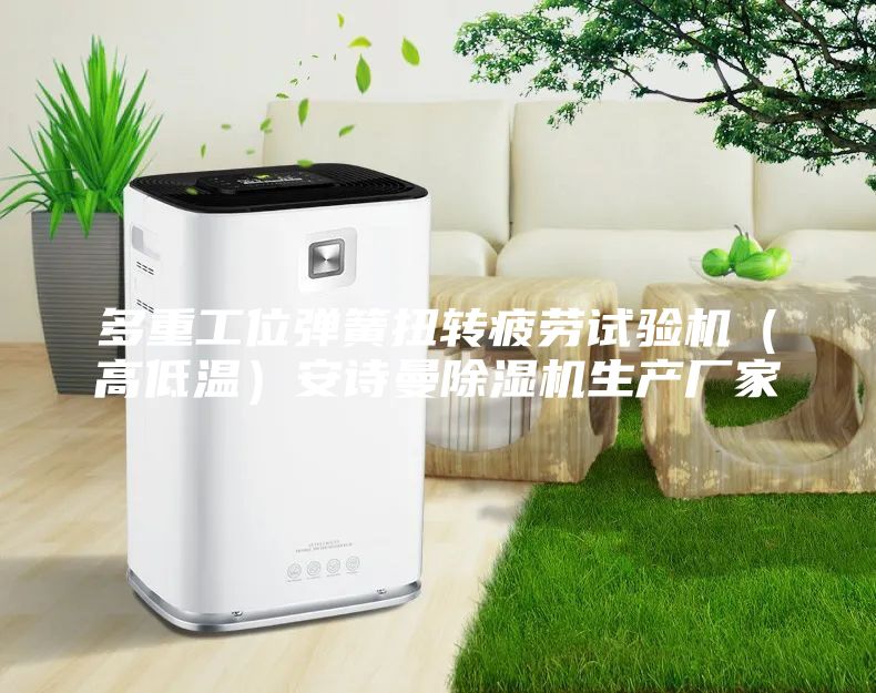 多重工位彈簧扭轉(zhuǎn)疲勞試驗機（高低溫）安詩曼除濕機生產(chǎn)廠家