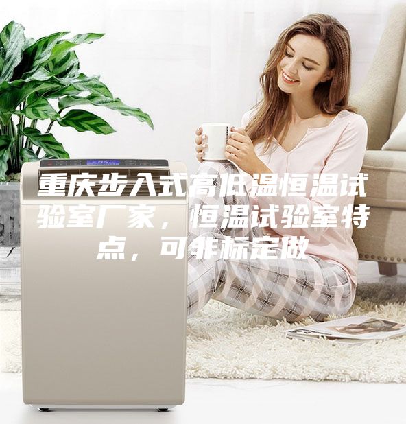 重慶步入式高低溫恒溫試驗室廠家，恒溫試驗室特點，可非標(biāo)定做