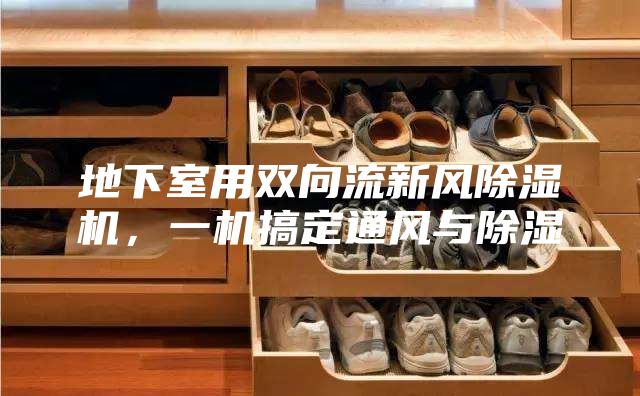 地下室用雙向流新風除濕機，一機搞定通風與除濕