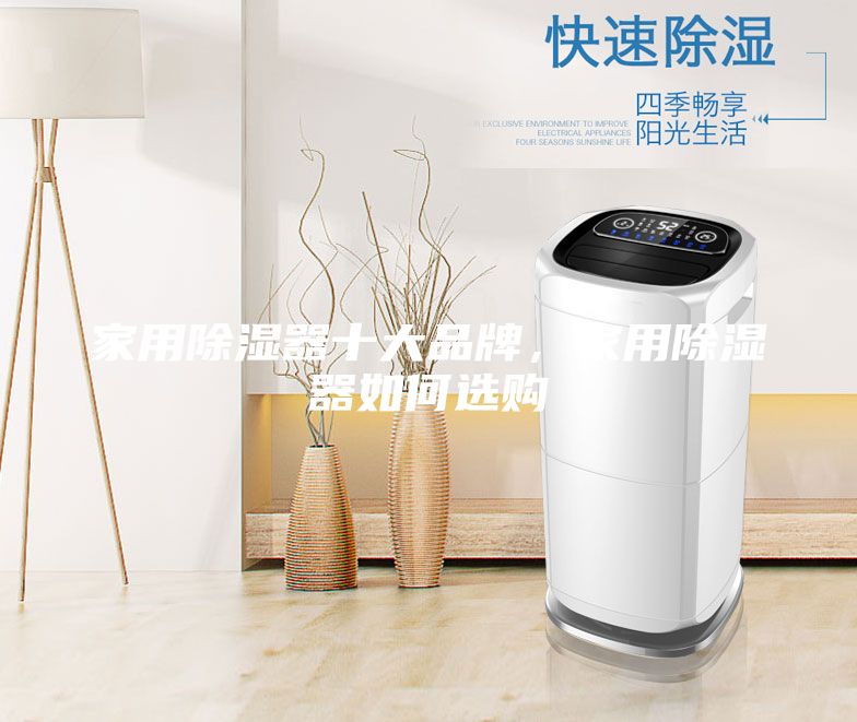 家用除濕器十大品牌，家用除濕器如何選購