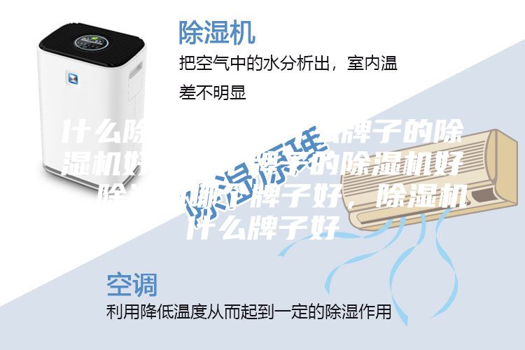 什么除濕機好，什么牌子的除濕機好，哪個牌子的除濕機好，除濕機哪個牌子好，除濕機什么牌子好