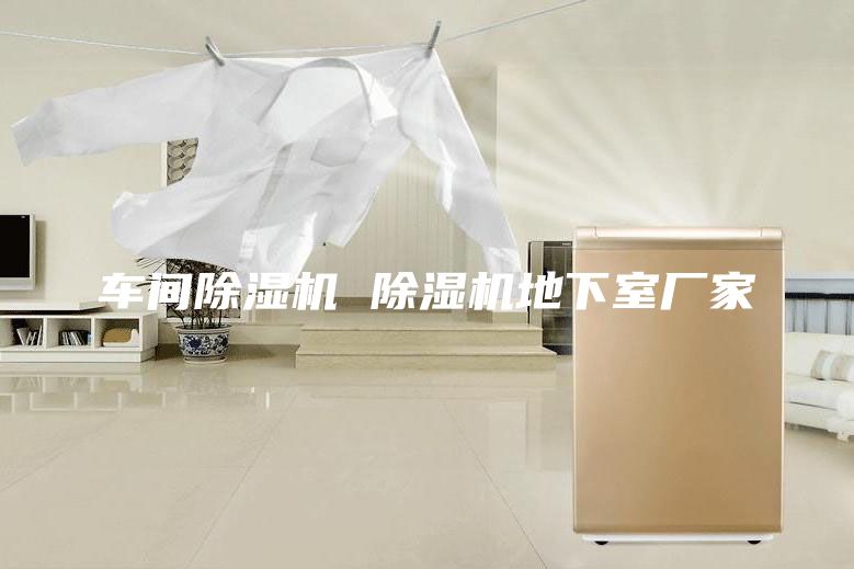 車間除濕機(jī) 除濕機(jī)地下室廠家