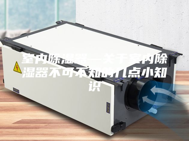 室內(nèi)除濕器—關(guān)于室內(nèi)除濕器不可不知的幾點(diǎn)小知識(shí)