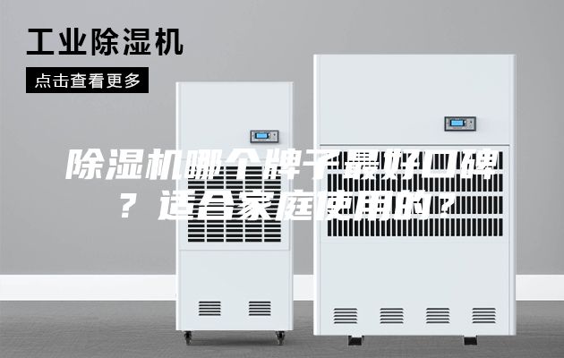 除濕機哪個牌子最好口碑？適合家庭使用的？