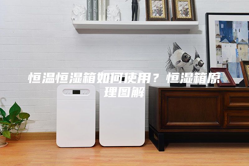 恒溫恒濕箱如何使用？恒濕箱原理圖解