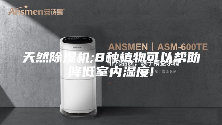 天然除濕機;8種植物可以幫助降低室內濕度!
