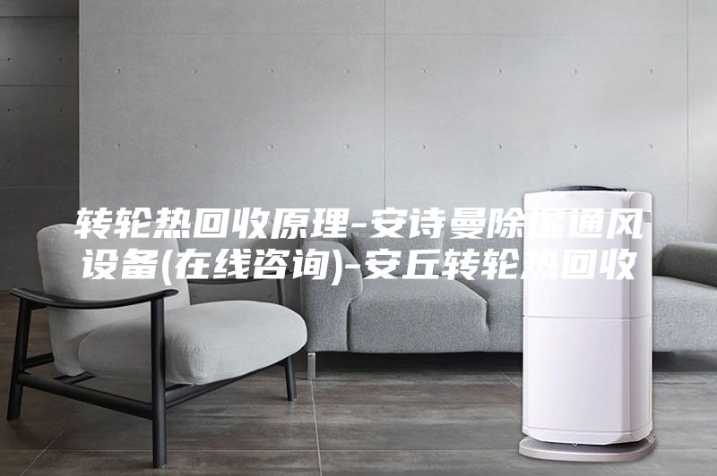 轉(zhuǎn)輪熱回收原理-安詩(shī)曼除濕通風(fēng)設(shè)備(在線咨詢)-安丘轉(zhuǎn)輪熱回收