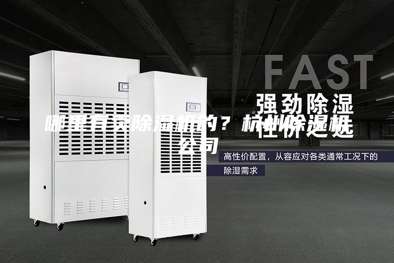 哪里有賣除濕機(jī)的？杭州除濕機(jī)公司