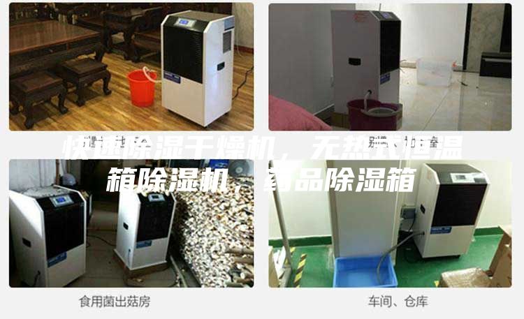 快速除濕干燥機,無熱式恒溫箱除濕機,藥品除濕箱