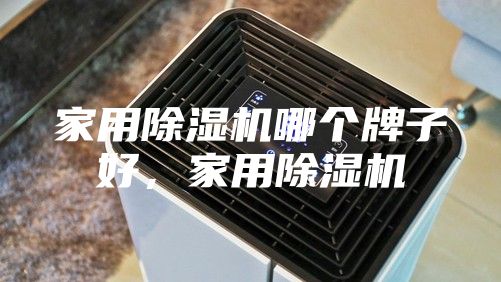 家用除濕機哪個牌子好，家用除濕機