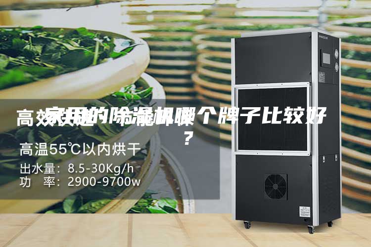 家用的除濕機哪個牌子比較好?