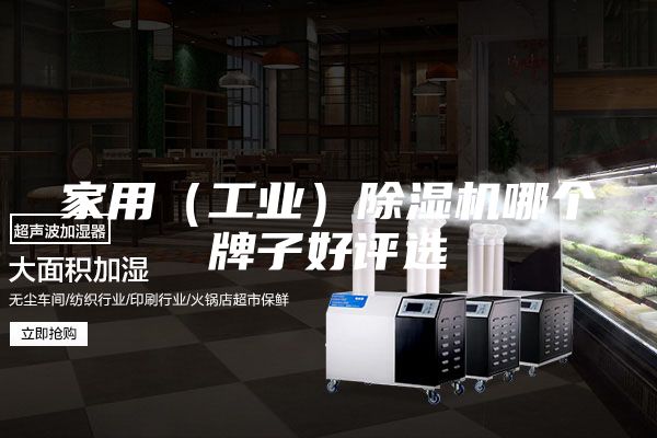 家用（工業）除濕機哪個牌子好評選