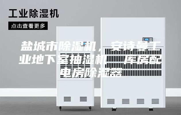 鹽城市除濕機，安詩曼工業地下室抽濕機  庫房配電房除濕器