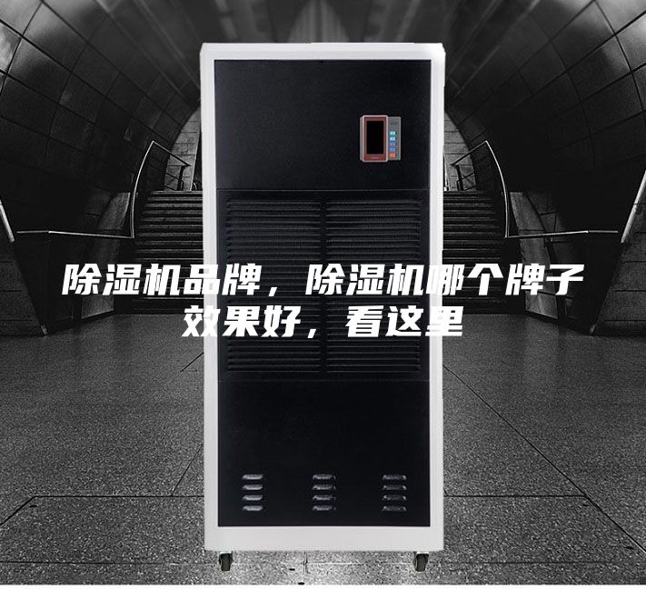 除濕機品牌，除濕機哪個牌子效果好，看這里
