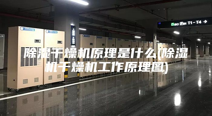 除濕干燥機原理是什么(除濕機干燥機工作原理圖)
