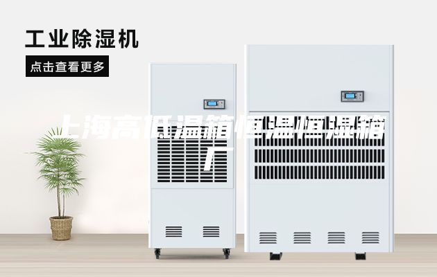 上海高低溫箱恒溫恒濕箱廠