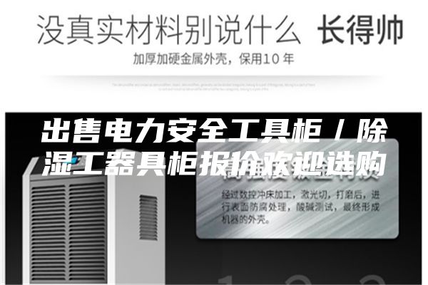 出售電力安全工具柜／除濕工器具柜報價歡迎選購